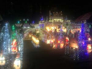 Senior Christmas Light Tour